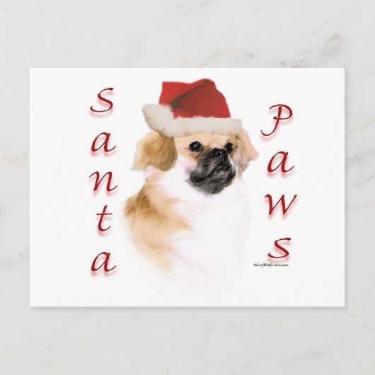 Tibetaanse spaniël Santa Paws Feestdagenkaart (Voorkant)