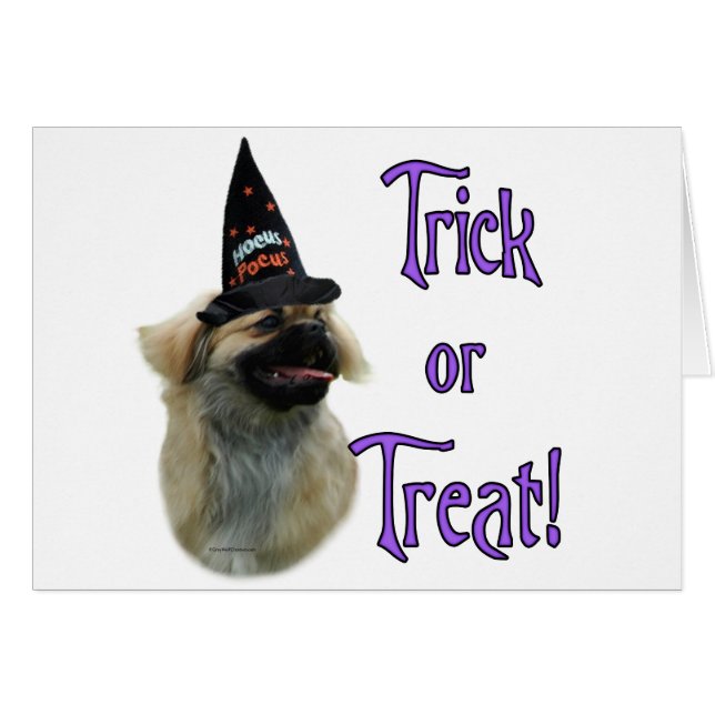 Tibetaanse spaniël truc (Voorkant Horizontaal)