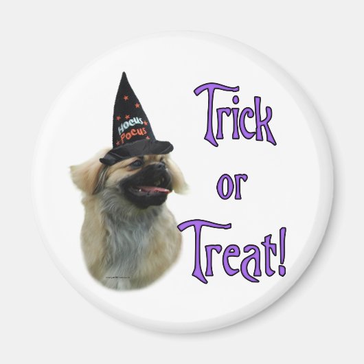 Tibetaanse spaniël truc magneet (Voorkant)