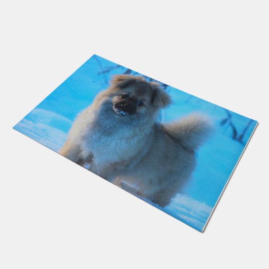 Tibetaanse Spanjaarden. Deurmat (Schuin)