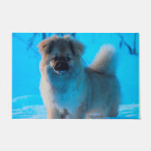 Tibetaanse Spanjaarden. Deurmat (Voorkant)