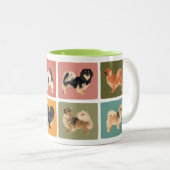 Tibetaanse Spanjaardjaanse Mok Tibbie Style (Voorkant rechts)