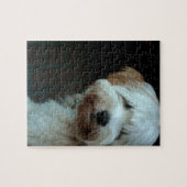 Tibetaanse terriër 2 legpuzzel (Horizontaal)