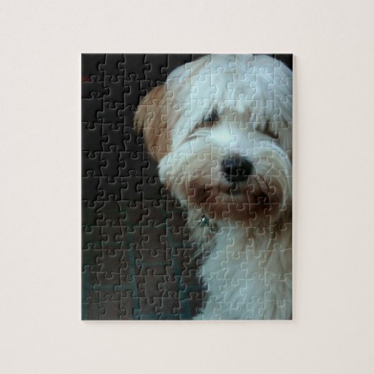 Tibetaanse terriër 2 legpuzzel (Verticaal)