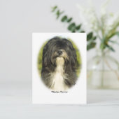 Tibetaanse Terrier Briefkaart (Staand voorkant)