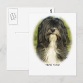 Tibetaanse Terrier Briefkaart (Voorkant / Achterkant)