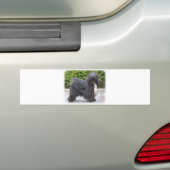 Tibetaanse Terrier Bumpersticker (Op auto)