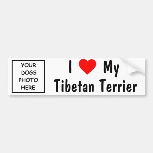 Tibetaanse Terrier Bumpersticker (Voorkant)