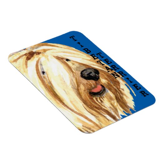 Tibetaanse Terrier Color Block Magneet (Rechterzijde)