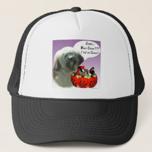 Tibetaanse Terriër Halloween Snoep Trucker Pet
