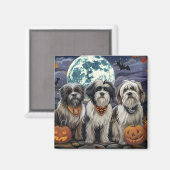 Tibetaanse Terriër Halloween Spokenbundel Magneet (Voorkant / Achterkant)