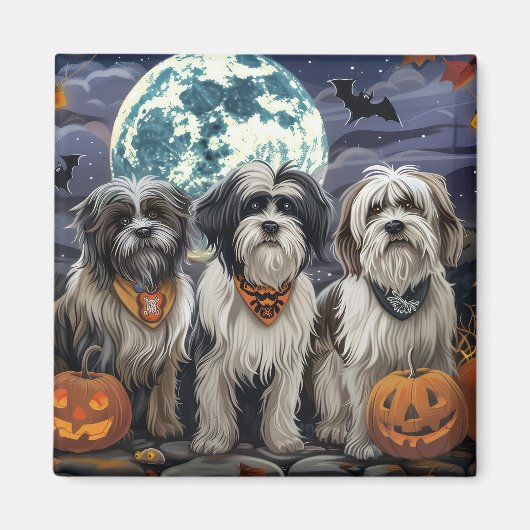 Tibetaanse Terriër Halloween Spokenbundel Magneet (Voorkant)