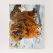 Tibetaanse Terrier Hond Legpuzzels. Legpuzzel (Verticaal)