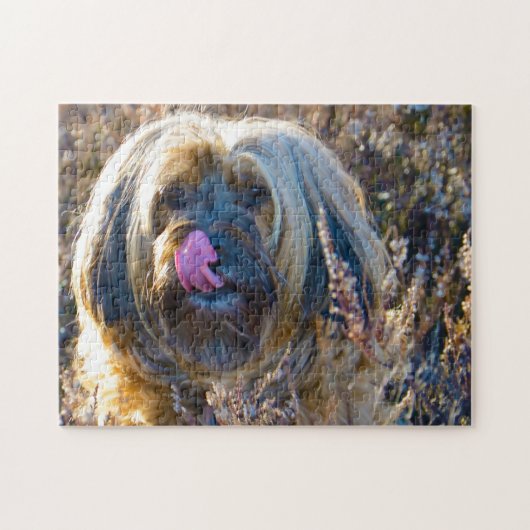 Tibetaanse Terrier Hond Legpuzzels. Legpuzzel (Horizontaal)