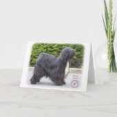 Tibetaanse Terrier Kaart (Voorkant)