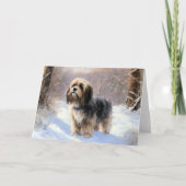 Tibetaanse terriër liet het sneeuwen Kerstmis Kaart (Voorkant)