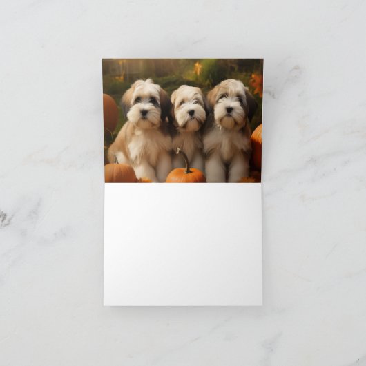 Tibetaanse Terriër Puppy Herfst Delight Pompoen Kaart (Binnen)