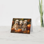 Tibetaanse Terriër Puppy Herfst Delight Pompoen Kaart (Voorkant)