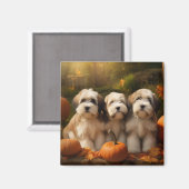 Tibetaanse Terriër Puppy Herfst Delight Pompoen Magneet (Voorkant / Achterkant)
