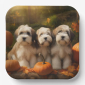 Tibetaanse Terriër Puppy Herfst Delight Pompoen Papieren Bordje (Voorkant)