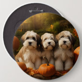 Tibetaanse Terriër Puppy Herfst Delight Pompoen Ronde Button 6,0 Cm (Voorkant /achterkant)