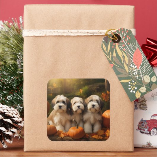 Tibetaanse Terriër Puppy Herfst Delight Pompoen Vierkante Sticker (Feestdagen)