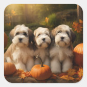 Tibetaanse Terriër Puppy Herfst Delight Pompoen Vierkante Sticker (Voorkant)