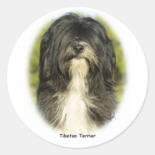 Tibetaanse Terrier Ronde Sticker