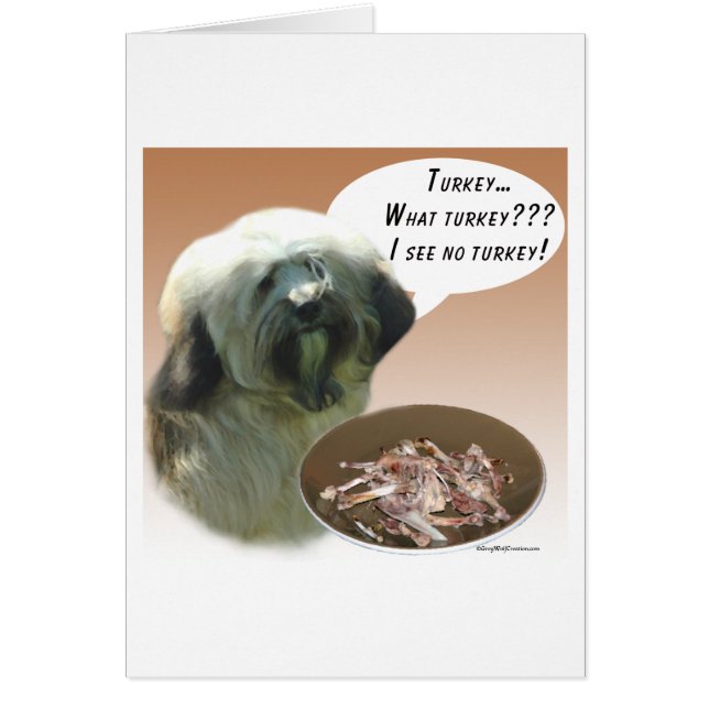 Tibetaanse Terriër Turkije (Voorkant)