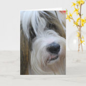 Tibetaanse Terriër Wenskaarten Kaart (Gele Bloem)