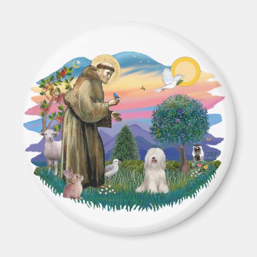 Tibetaanse Terriër (wit) Magneet (Voorkant)