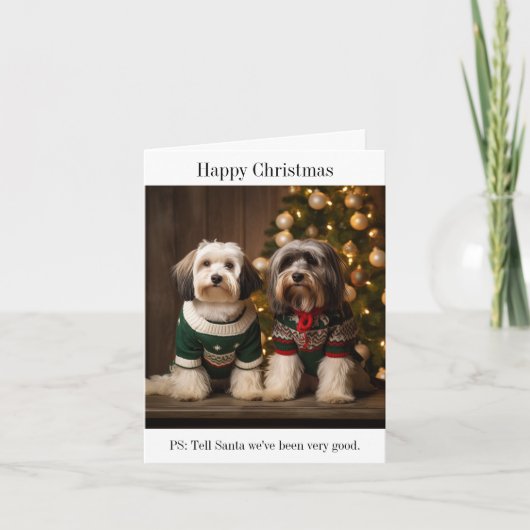 Tibetaanse Terriers Kerst Kaart (Voorkant)