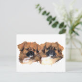 Tibetan HoofdStudie van Spanielen Briefkaart (Staand voorkant)