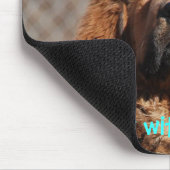 Tibetan Mastiff Attitude Muismat (Hoek)