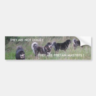 TIBETAN MASTIFF-BUMPERSTICKER BUMPERSTICKER