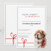 Tibetan Mastiff Christmas Party Cozy Red Scarf Kaart (Voorkant / Achterkant)