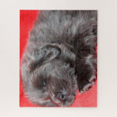 Tibetan Mastiff Dog Jigsaws. Legpuzzel (Verticaal)