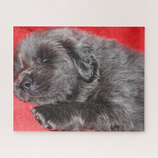 Tibetan Mastiff Dog Jigsaws. Legpuzzel (Horizontaal)