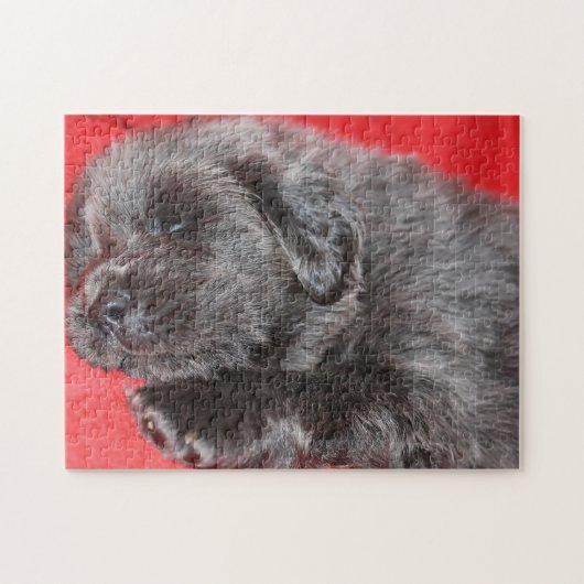 Tibetan Mastiff Dog Jigsaws. Legpuzzel (Horizontaal)