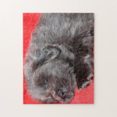 Tibetan Mastiff Dog Jigsaws. Legpuzzel (Verticaal)