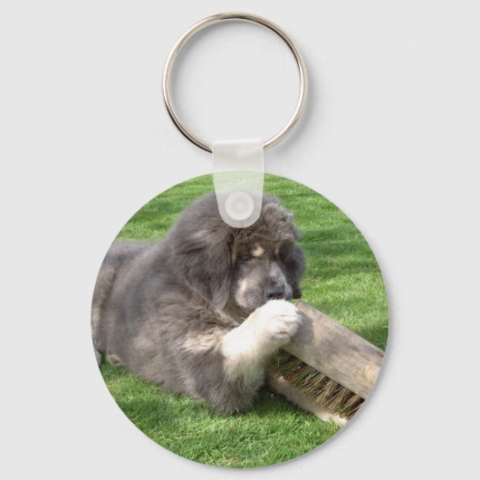 Tibetan Mastiff Jampo met bezemige sleutelhanger (Voorkant)