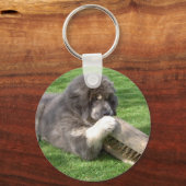 Tibetan Mastiff Jampo met bezemige sleutelhanger (Voorkant)