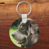 tibetan mastiff.png sleutelhanger (Voorkant)