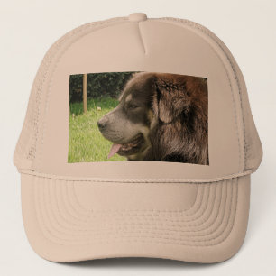 tibetan mastiff.png trucker pet