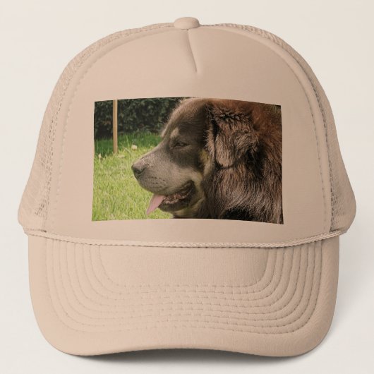 tibetan mastiff.png trucker pet (Voorkant)