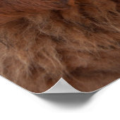 Tibetan Mastiff pup Poster (Hoek)