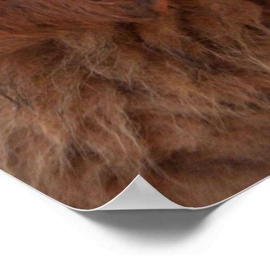 Tibetan Mastiff pup Poster (Hoek)