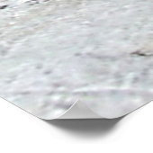 Tibetan Plateau White Snow River Poster (Hoek)