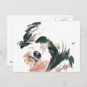 Tibetan portret van Terrier Briefkaart (Voorkant / Achterkant)