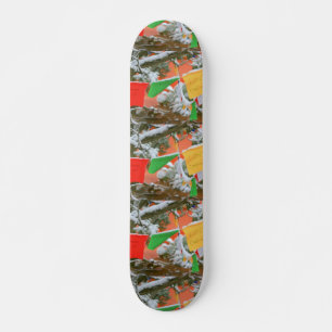 tibetan pray skateboard